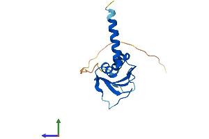 Protein Structure (PS) image for GSK3B interacting protein (GSKIP) (AA 1-139) protein (His tag) (ABIN7558577)