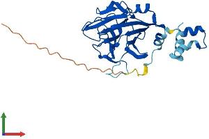 AlphaFold protein structure predicition of Human Recombinant SPSB4 Protein, UniprotID Q96A44
