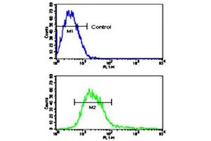 Flow cytometric analysis of CEM cells using ADAM17 polyclonal antibody (bottom histogram) compared to a negative control cell (top histogram).