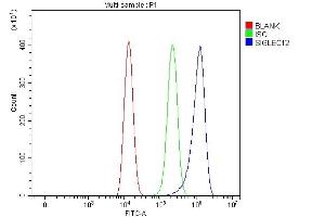 Flow Cytometry analysis of HEL cells using anti-SIGLEC12 antibody (ABIN7601259). (SIGLEC12 antibody  (AA 31-287))