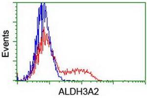 HEK293T cells transfected with either RC200648 overexpress plasmid (Red) or empty vector control plasmid (Blue) were immunostained by anti-ALDH3A2 antibody (ABIN2454836), and then analyzed by flow cytometry.