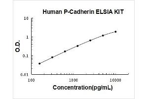 Human P-Cadherin PicoKine ELISA Kit standard curve