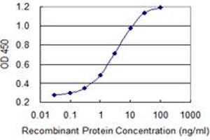 Detection limit for recombinant GST tagged HSFY2 is 0. (HSFY2 antibody  (AA 1-100))