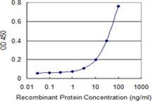 Detection limit for recombinant GST tagged CYP4F3 is 1 ng/ml as a capture antibody. (CYP4F3 antibody  (AA 100-198))