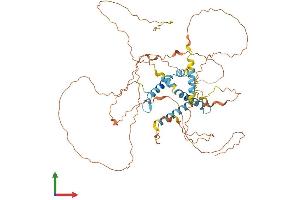 AlphaFold protein structure predicition of Mouse Recombinant Ccdc116 Protein, UniprotID Q80X53 (CCDC116 Protein (AA 1-541) (His tag))