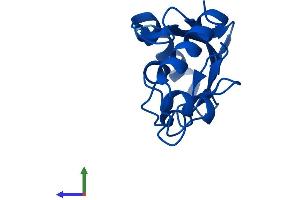 Protein Structure (PS) image for Ubiquitin-Conjugating Enzyme E2D 1 (UBE2D1) (AA 1-147) protein (His tag) (ABIN7544963)