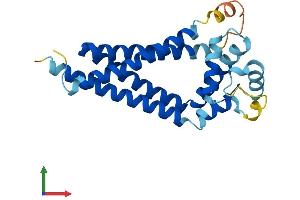 AlphaFold protein structure predicition of Mouse Recombinant Cd81 Protein, UniprotID P35762 (CD81 Protein (CD81) (AA 1-236) (His tag))