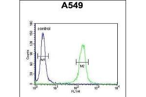 C14orf179 Antibody (Center) (ABIN651563 and ABIN2840304) flow cytometric analysis of A549 cells (right histogram) compared to a negative control cell (left histogram). (IFT43 antibody  (AA 145-171))