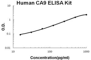 Human CA9 Accusignal ELISA Kit Human CA9 AccuSignal ELISA Kit standard curve.