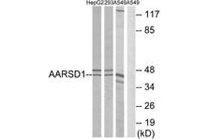 Western blot analysis of extracts from A549/293/HepG2 cells, using AARSD1 Antibody. (AARSD1 antibody  (AA 141-190))