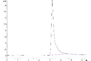 The purity of Human LOX1 is greater than 95 % as determined by SEC-HPLC. (OLR1 Protein (AA 61-273) (His tag))