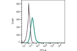 Cell surface detection of CD38 by indirect flow cytometry in live intact mouse J774 macrophage line: + goat-anti-rabbit-FITC. (CD38 antibody  (Extracellular))