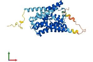 AlphaFold protein structure predicition of Human Recombinant SLC10A2 Protein, UniprotID Q12908 (SLC10A2 Protein (AA 1-348) (His tag))