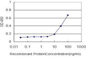 Detection limit for recombinant GST tagged BARHL1 is approximately 1ng/ml as a capture antibody. (BARHL1 antibody  (AA 55-154))