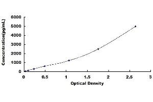 Typical standard curve (FABP2 ELISA Kit)