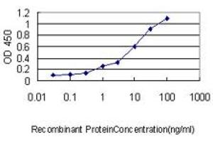 Image no. 4 for anti-Zinc Finger Protein 143 (ZNF143) (AA 1-627) antibody (ABIN466122) (ZNF143 antibody  (AA 1-627))