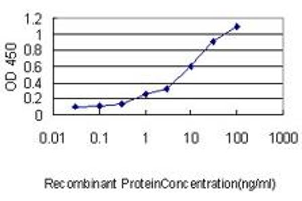 ZNF143 antibody  (AA 1-627)