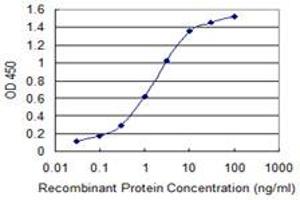 Detection limit for recombinant GST tagged RABGAP1L is 0. (RABGAP1L antibody  (AA 1-110))