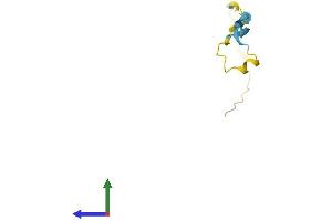 AlphaFold protein structure predicition of Human Recombinant SPANXD Protein, UniprotID Q9BXN6 (SPANXD Protein (AA 1-97) (His tag))