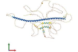 AlphaFold protein structure predicition of Human Recombinant SYBU Protein, UniprotID Q9NX95