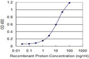 Detection limit for recombinant GST tagged UQCRH is 0. (UQCRH antibody  (AA 1-91))