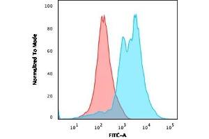 Flow Cytometric Analysis of PFA-fixed Jurkat cells. (ZAP70 antibody  (AA 1-254))