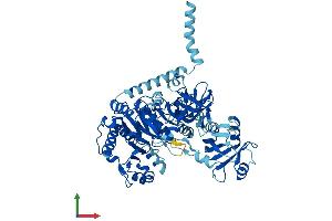 AlphaFold protein structure predicition of Mouse Recombinant Slc27a2 Protein, UniprotID O35488 (SLC27A2 Protein (AA 1-620) (His tag))