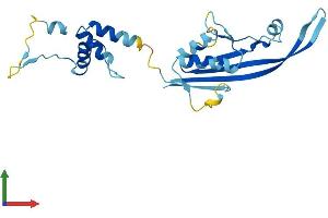 AlphaFold protein structure predicition of Human Recombinant KCTD11 Protein, UniprotID Q693B1 (KCTD11 Protein (AA 1-232) (His tag))