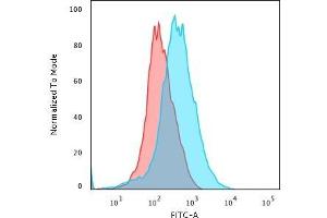 Flow Cytometric Analysis of paraformaldehyde-fixed Jurkat cells using CD31 Rabbit Recombinant Monoclonal Antibody (C31/2876R). (Recombinant CD31 antibody)