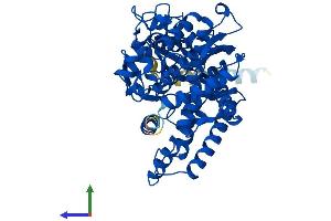 AlphaFold protein structure predicition of Human Recombinant CYP2B6 Protein, UniprotID P20813 (CYP2B6 Protein (AA 1-491) (His tag))