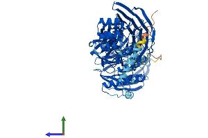 Protein Structure (PS) image for Intraflagellar Transport 80 Homolog (IFT80) (AA 1-777) protein (His tag) (ABIN7559421)