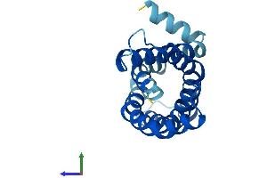 Protein Structure (PS) image for MpV17 Mitochondrial Inner Membrane Protein (MPV17) (AA 1-176) protein (His tag) (ABIN7549512)