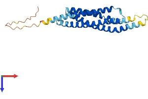 AlphaFold protein structure predicition of Mouse Recombinant Ms4a6c Protein, UniprotID Q99N08 (Ms4a6c Protein (AA 1-217) (His tag))