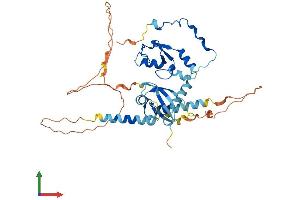 AlphaFold protein structure predicition of Mouse Recombinant Ring1 Protein, UniprotID O35730 (RING1 Protein (AA 1-406) (His tag))