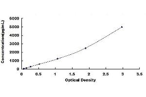 Typical standard curve