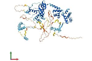 AlphaFold protein structure predicition of Mouse Recombinant Mta1 Protein, UniprotID Q8K4B0 (MTA1 Protein (AA 1-715) (His tag))