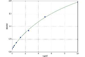 Teratocarcinoma-Derived Growth Factor 1 (TDGF1) ELISA Kit