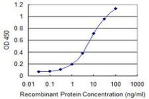 Detection limit for recombinant GST tagged EREG is 0. (Epiregulin antibody  (AA 32-117))