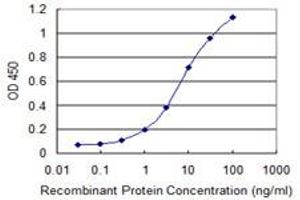 Detection limit for recombinant GST tagged EREG is 0. (Epiregulin antibody  (AA 32-117))