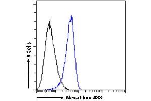 (ABIN185002) Flow cytometric analysis of paraformaldehyde fixed K562 cells (blue line), permeabilized with 0. (IFIH1 antibody  (N-Term))