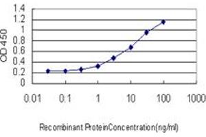 Detection limit for recombinant GST tagged ASCL1 is approximately 1ng/ml as a capture antibody. (ASCL1 antibody  (AA 137-236))