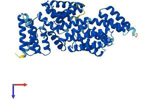 AlphaFold protein structure predicition of Human Recombinant IFIT1B Protein, UniprotID Q5T764 (IFIT1B Protein (AA 1-474) (His tag))