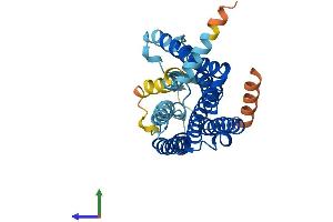 AlphaFold protein structure predicition of Human Recombinant OR10R2 Protein, UniprotID Q8NGX6 (OR10R2 Protein (AA 1-335) (His tag))