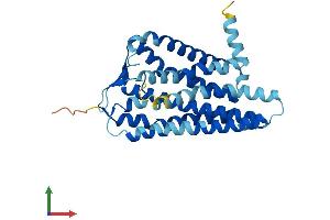 AlphaFold protein structure predicition of Human Recombinant OR52K1 Protein, UniprotID Q8NGK4 (OR52K1 Protein (AA 1-314) (His tag))