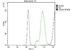 Flow Cytometry analysis of Raji cells using anti-CD20/MS4A1 antibody (ABIN7599233).