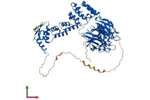 AlphaFold protein structure predicition of Mouse Recombinant Klhl17 Protein, UniprotID Q6TDP3 (KLHL17 Protein (AA 1-640) (His tag))