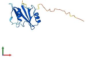 AlphaFold protein structure predicition of Mouse Recombinant Sh2d1a Protein, UniprotID O88890