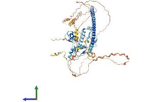 AlphaFold protein structure predicition of Human Recombinant ZNF282 Protein, UniprotID Q9UDV7