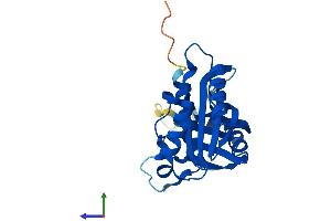 Protein Structure (PS) image for Mediator Complex Subunit 20 (MED20) (AA 1-212) protein (His tag) (ABIN7549283)