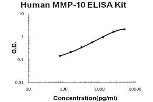 Human MMP-10 PicoKine ELISA Kit standard curve